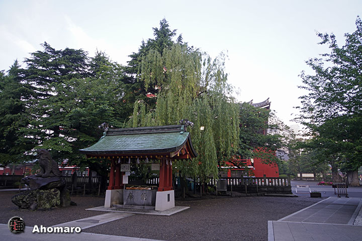 写真00