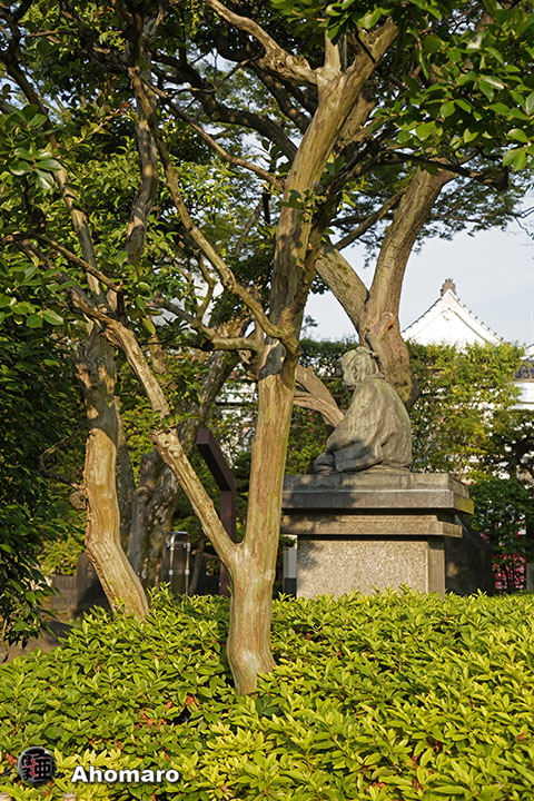写真00