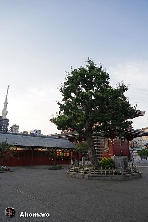 写真00