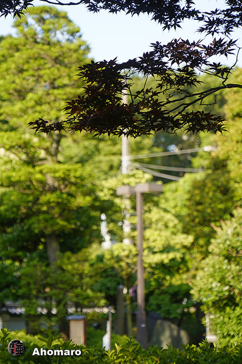 写真00