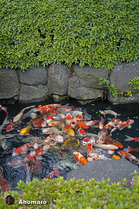写真00