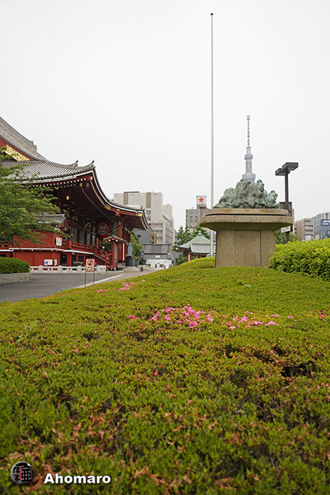 写真00