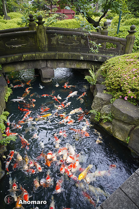 写真00