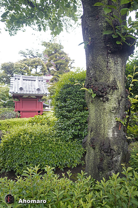 写真00
