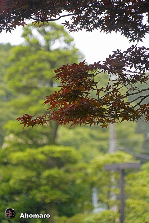 写真00