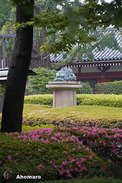 写真00