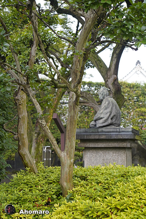写真00
