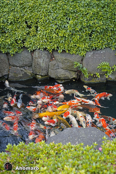 写真00