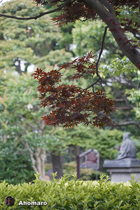 写真00
