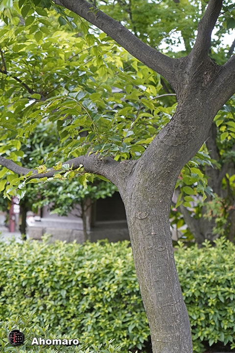 写真00