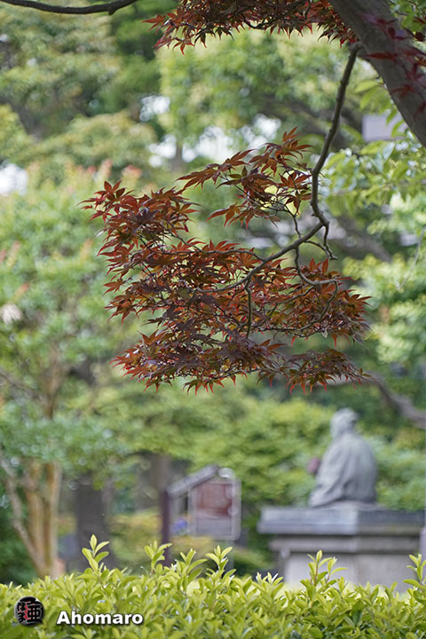 写真00