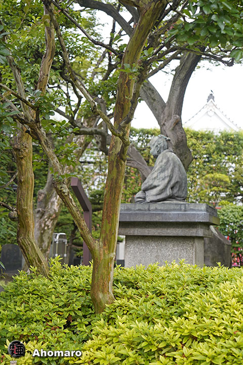 写真00