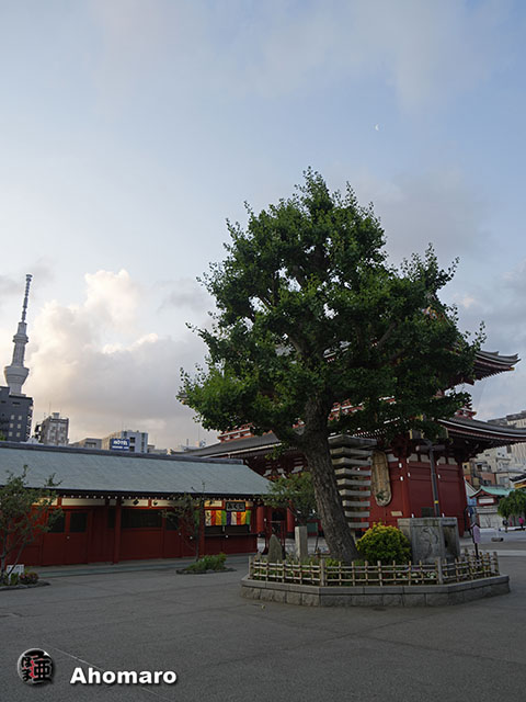 写真00