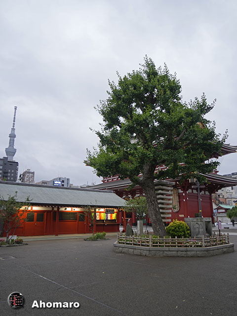 写真00