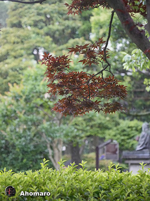 写真00