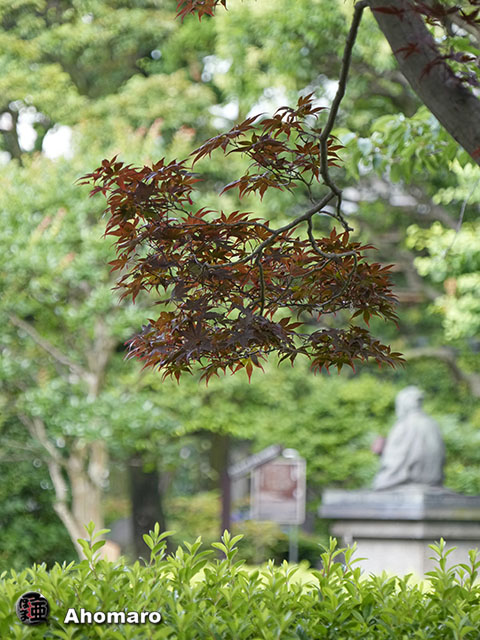 写真00