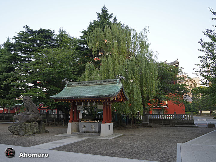 写真00