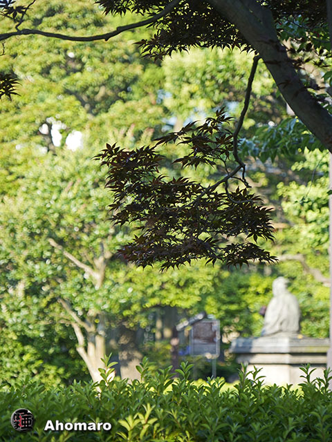 写真00