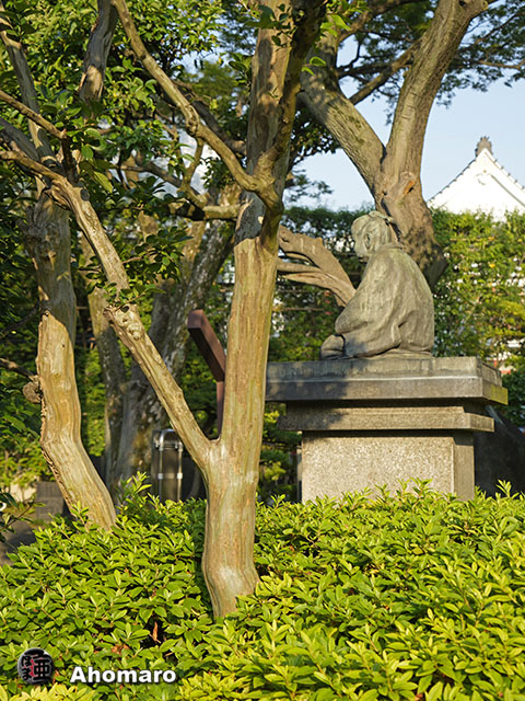 写真00