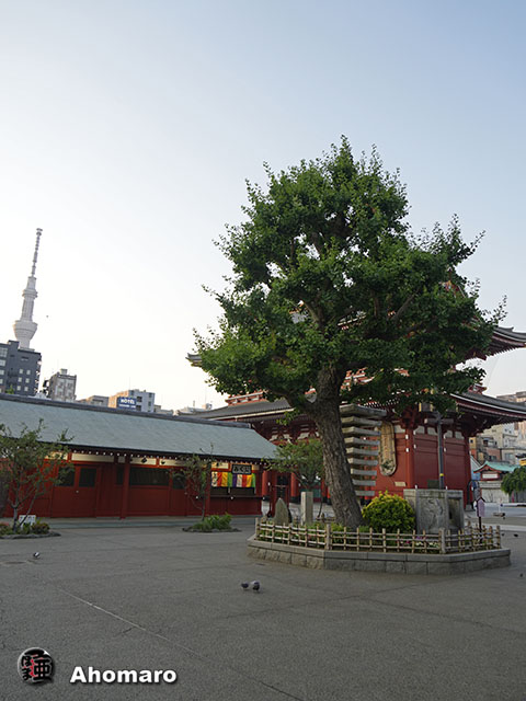 写真00