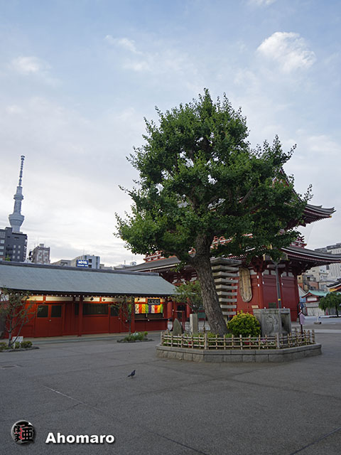 写真00