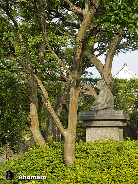 写真00