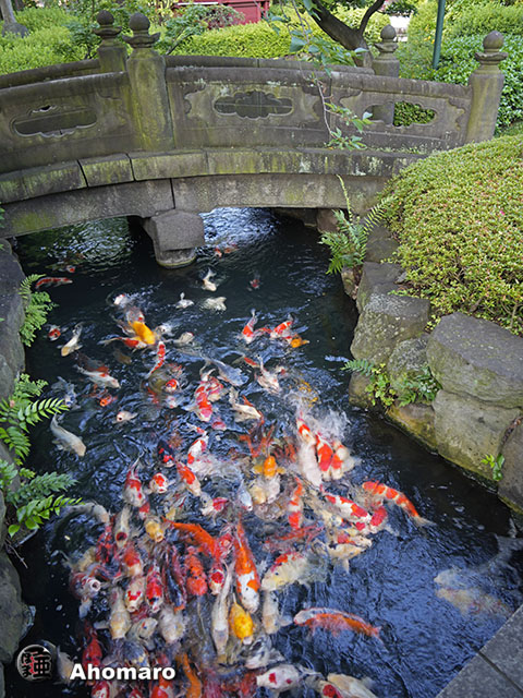 写真00