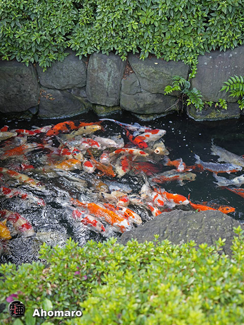 写真00