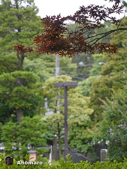 写真00