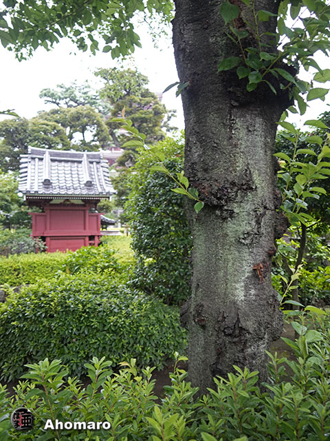 写真00