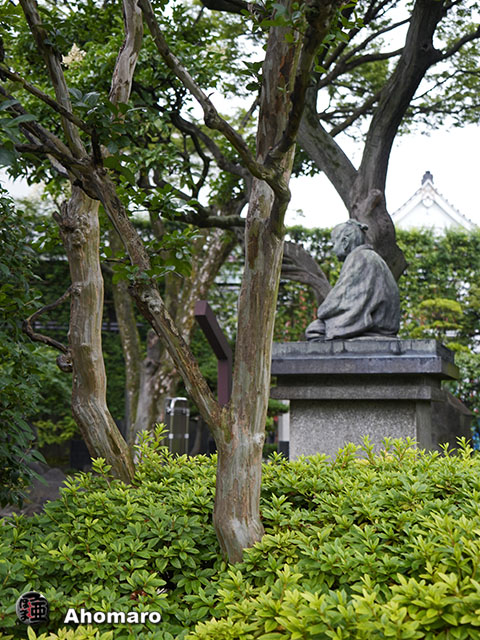 写真00