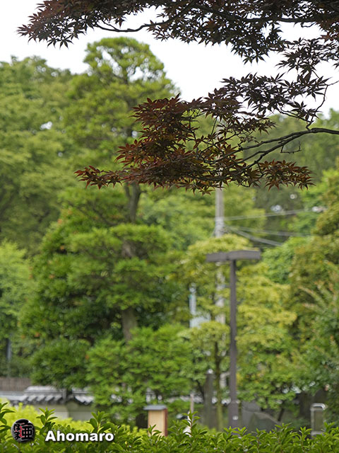 写真00