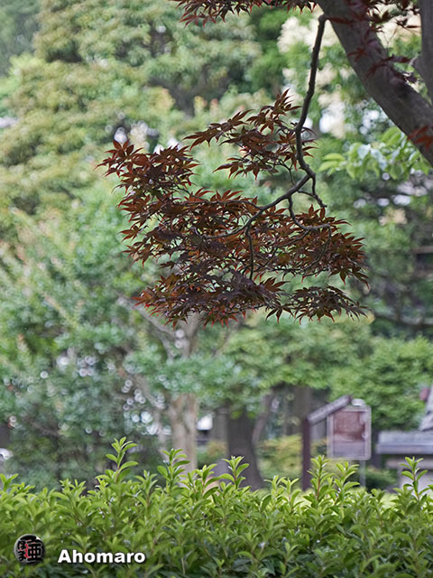 写真00