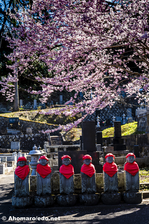 写真00