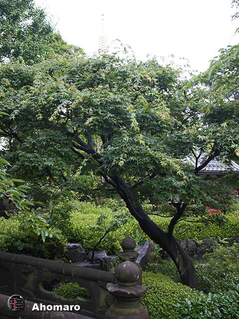 写真00