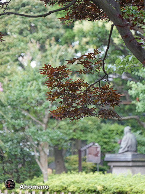写真00