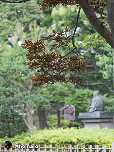 写真00