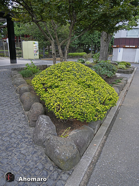 写真00