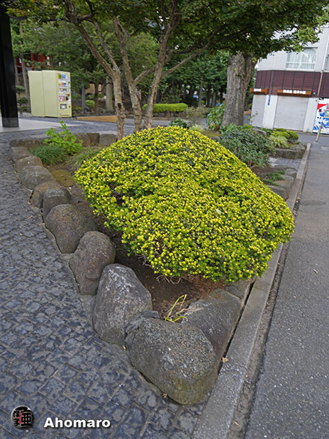 写真00