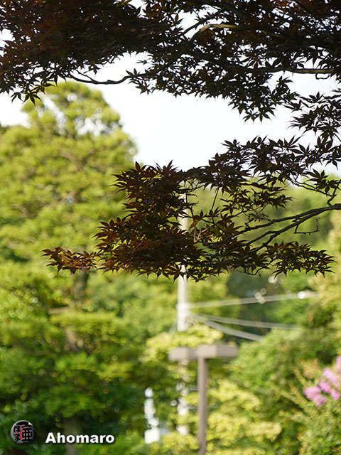写真00