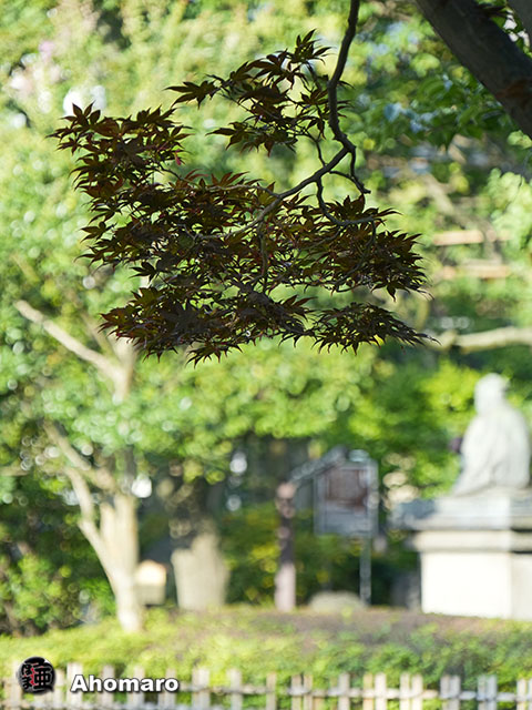 写真00
