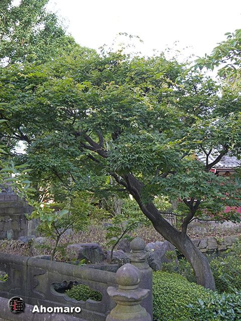 写真00