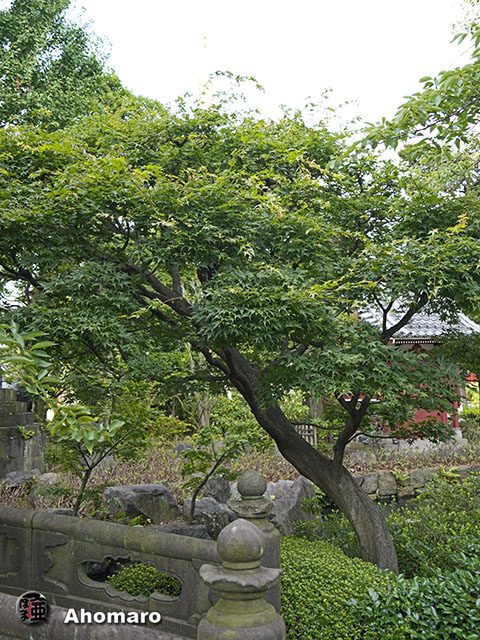 写真00