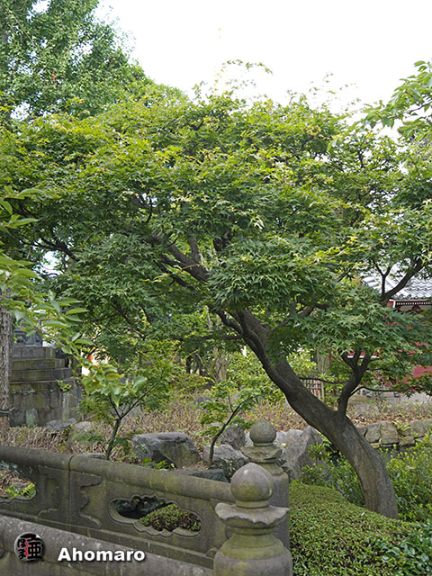 写真00
