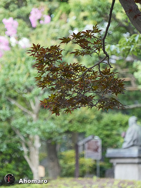 写真00