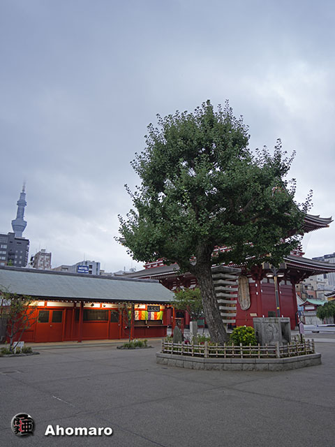 写真00