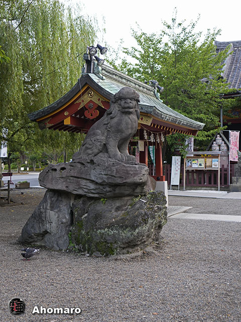写真00
