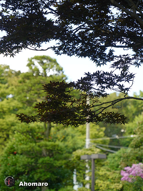 写真00