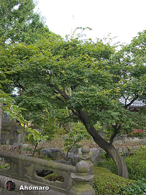 写真00