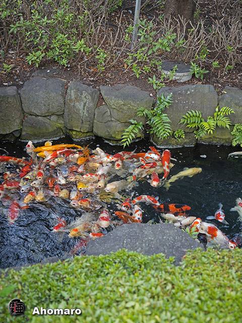 写真00